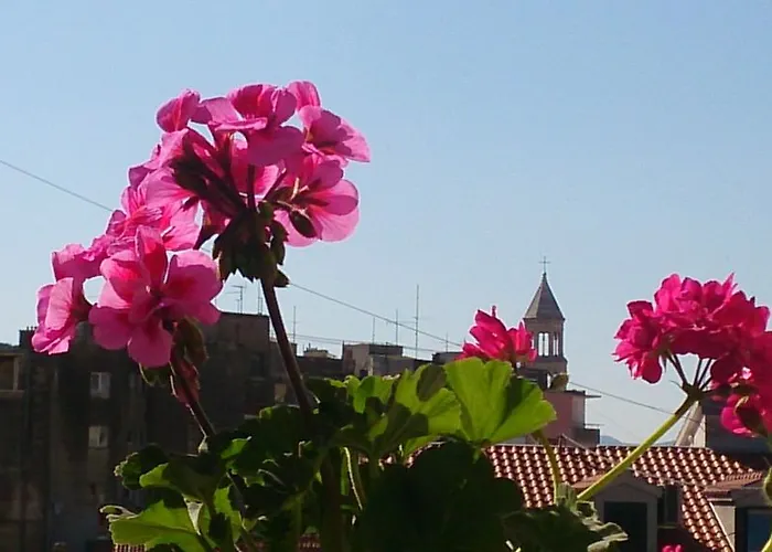 Apartament Spalatina *